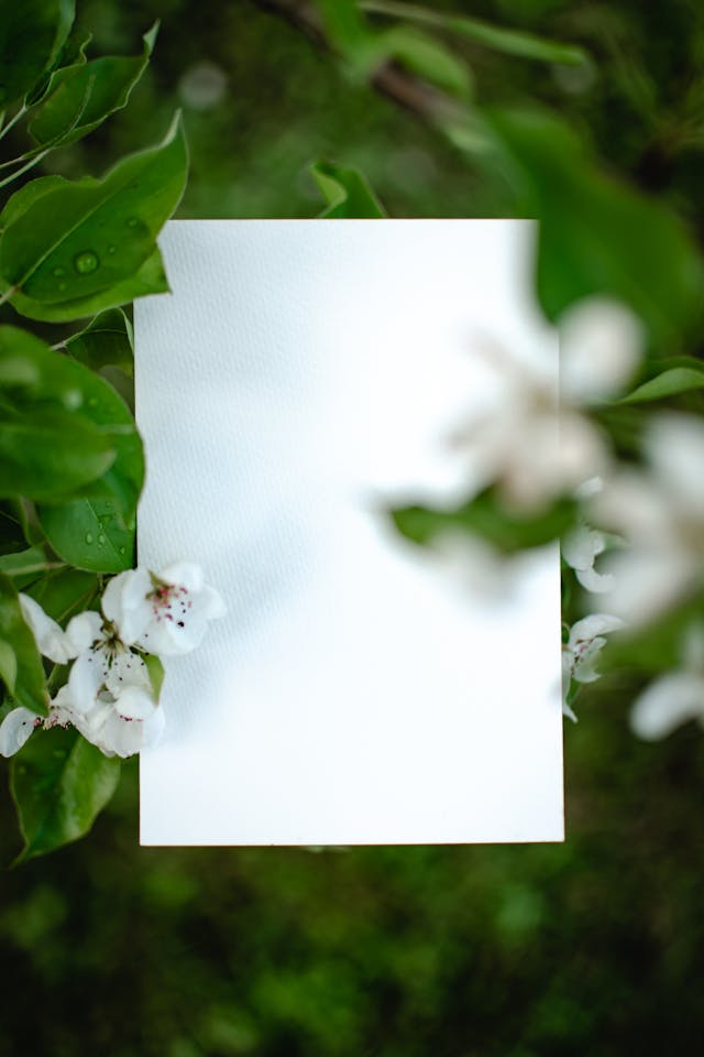 Eco-Friendly Printing for Modern Businesses